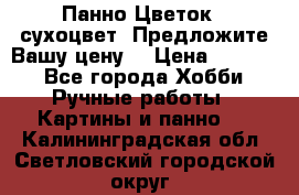 Панно Цветок - сухоцвет. Предложите Вашу цену! › Цена ­ 4 000 - Все города Хобби. Ручные работы » Картины и панно   . Калининградская обл.,Светловский городской округ 